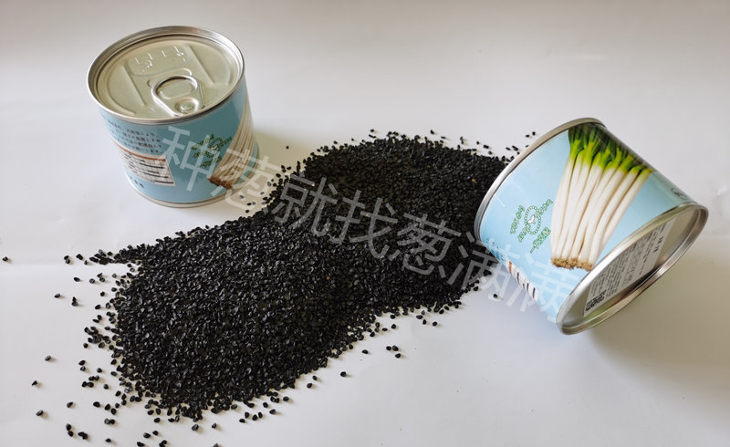 抗倒伏品種
