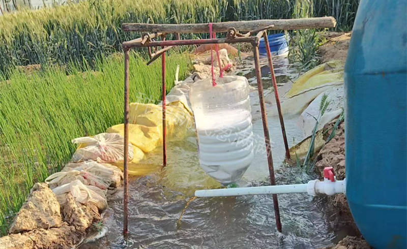 肥水管理