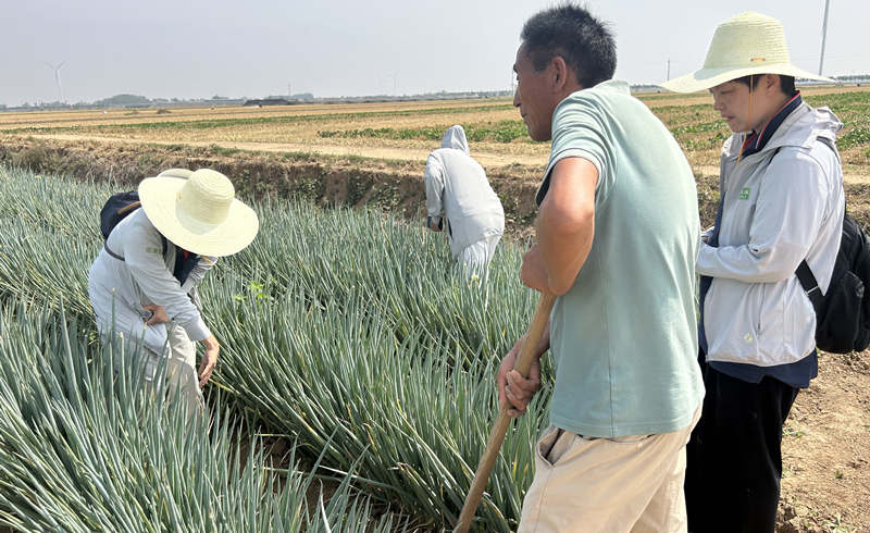 漯河老薛