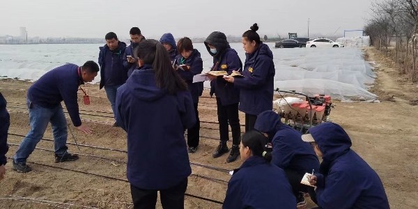 蔥滿滿技術團隊赴新鄉大蔥雙高種植教學基地學習