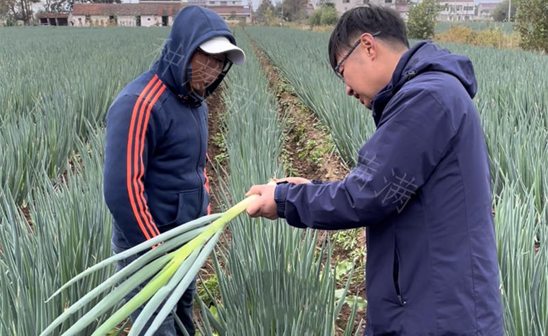 啟東客戶指導