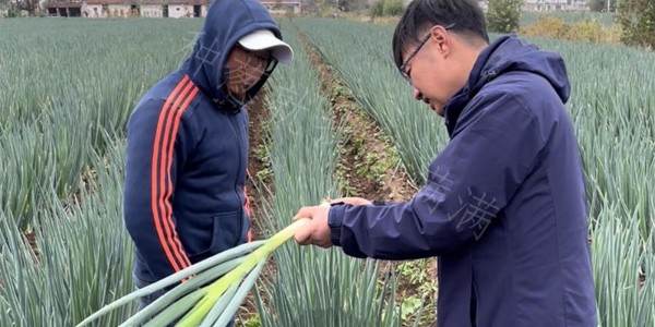 蔥滿滿技術(shù)團隊線下技術(shù)調(diào)研走訪