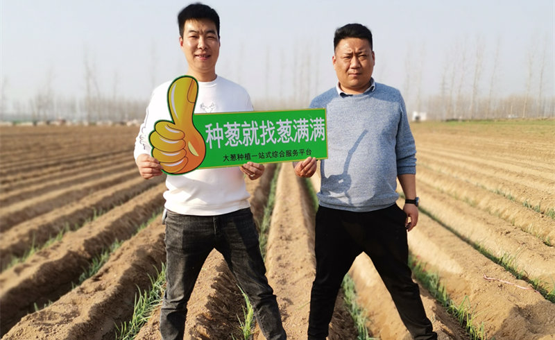 種蔥就找蔥滿滿