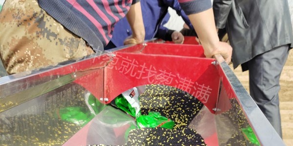 大蔥育苗后多長時(shí)間可以開溝整地?整地需要施肥嗎?