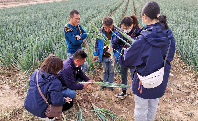 蔥滿滿線下技術(shù)指導(dǎo)中