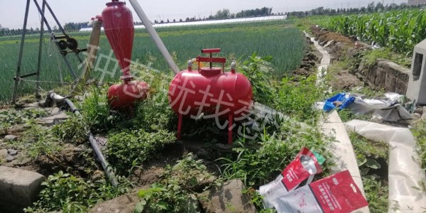 如何做好夏季肥水管理提高大蔥產(chǎn)量