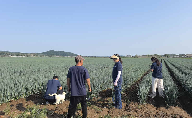 大連指導