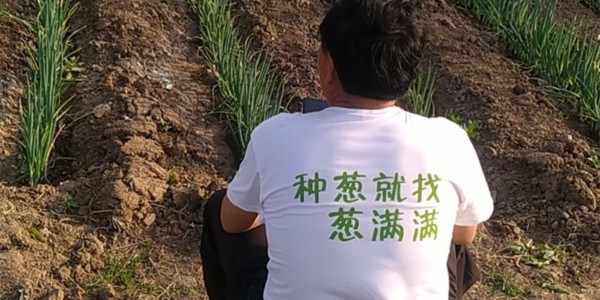 五一勞動節(jié)，蔥滿滿致敬種蔥人