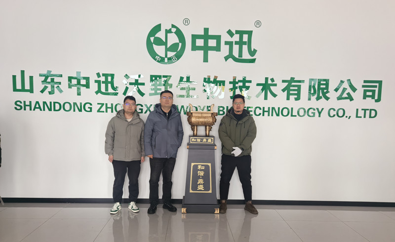 中迅1