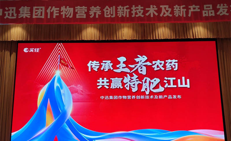 中迅4