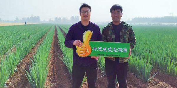 蔥滿(mǎn)滿(mǎn)高級(jí)技術(shù)老師余建華深入山東種蔥主產(chǎn)區(qū)進(jìn)行調(diào)研