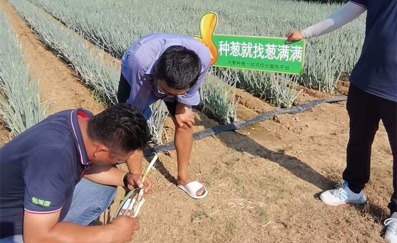 蔥滿滿團隊技術指導