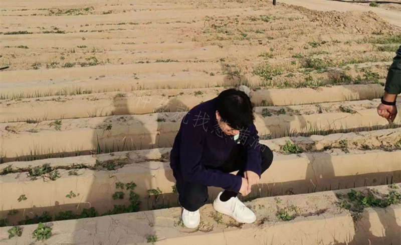 蔥滿滿線下駐地服務