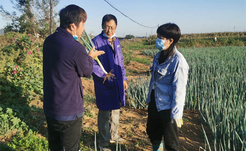 蔥滿滿線下技術(shù)指導